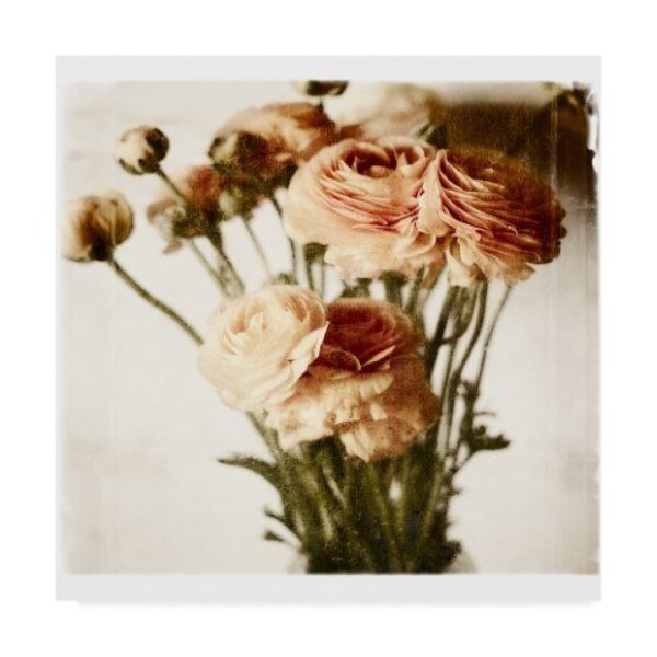 Michael Harrison 'Floral Ranunculus White Soft' Canvas Art, 24x24, Trademark Fine Art, Mfr#: ALI43307-C2424GG